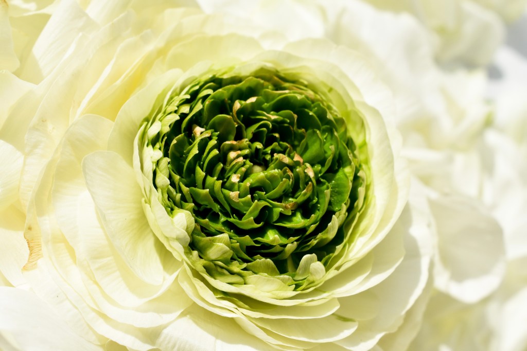 Sustainability Month: An&nbsp;introduction